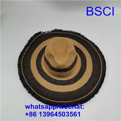 What is a sunshade hat