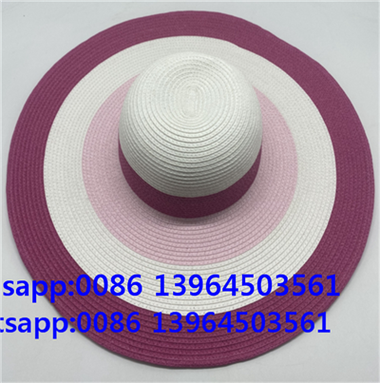 Women Hat Party Summer Bag