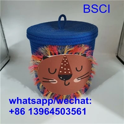 Decorative Bins and Baskets